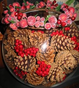 CI-pine-cones